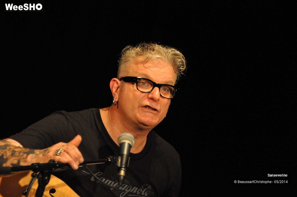 41/47 photos du spectacle Sanseverino