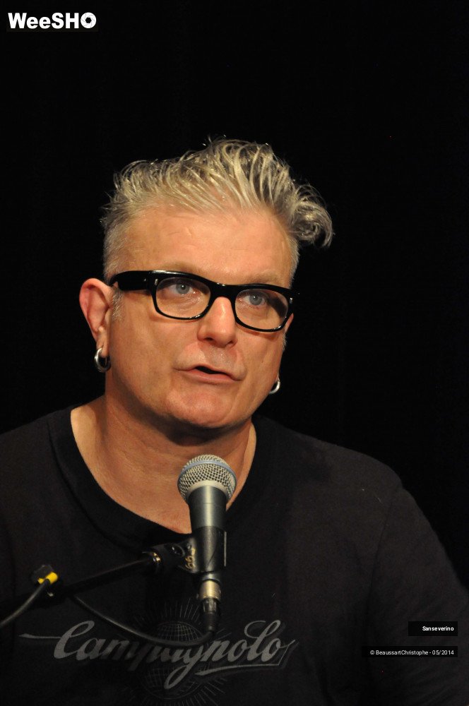 43/47 photos du spectacle Sanseverino