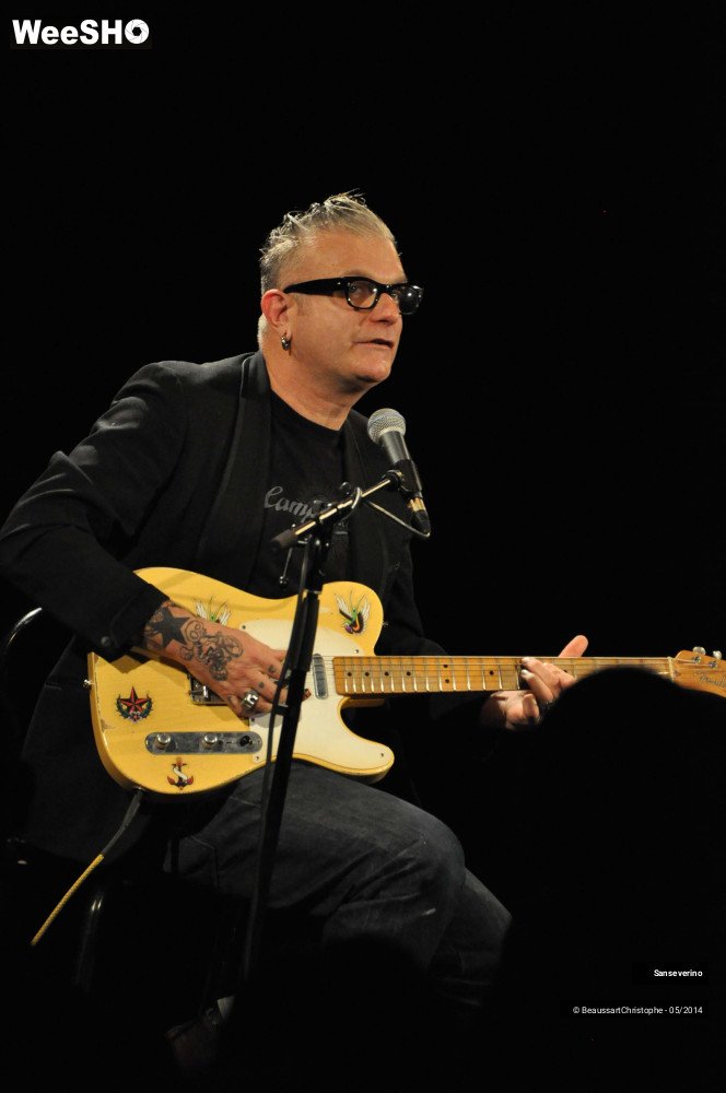 44/47 photos du spectacle Sanseverino