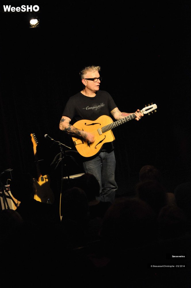 46/47 photos du spectacle Sanseverino