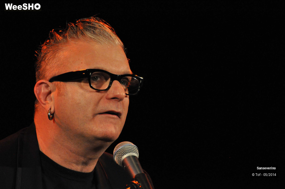 1/47 photos du spectacle Sanseverino