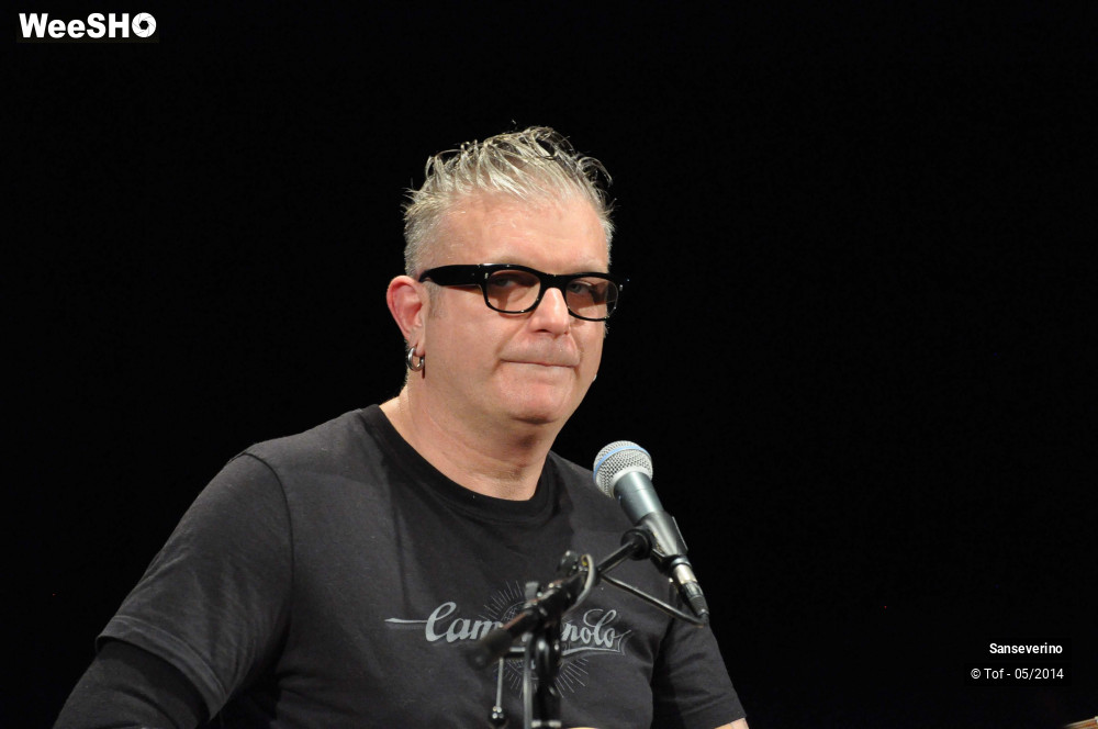 2/47 photos du spectacle Sanseverino