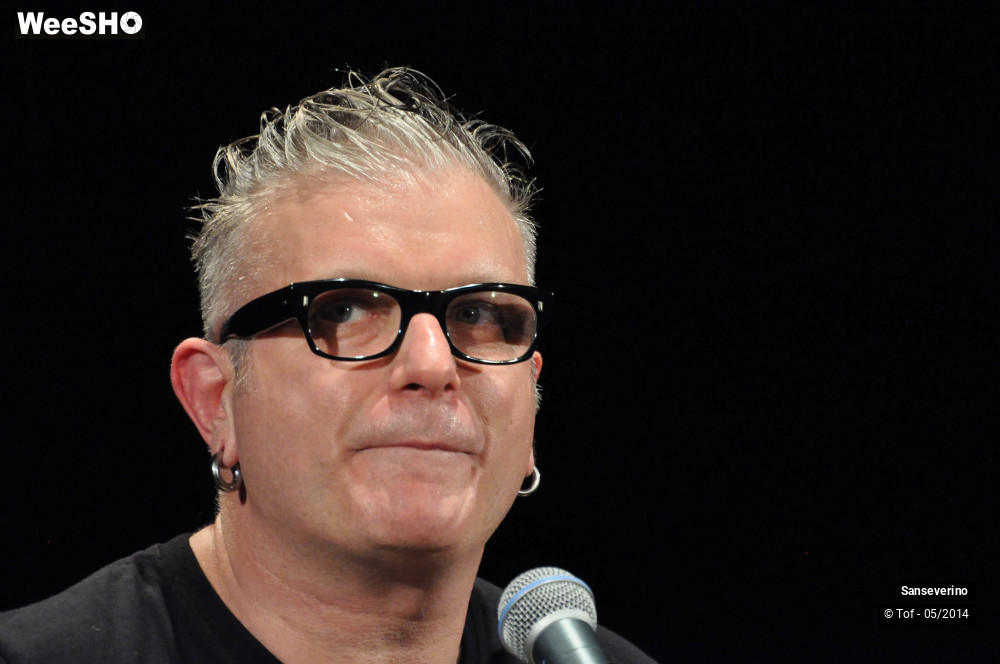 3/47 photos du spectacle Sanseverino