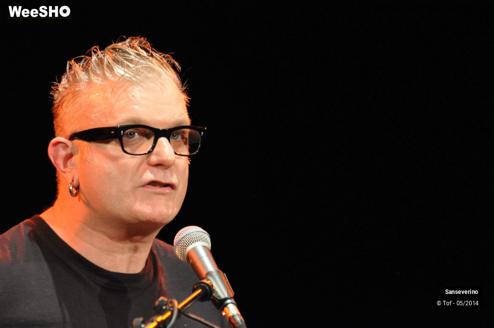 4/47 photos du spectacle Sanseverino