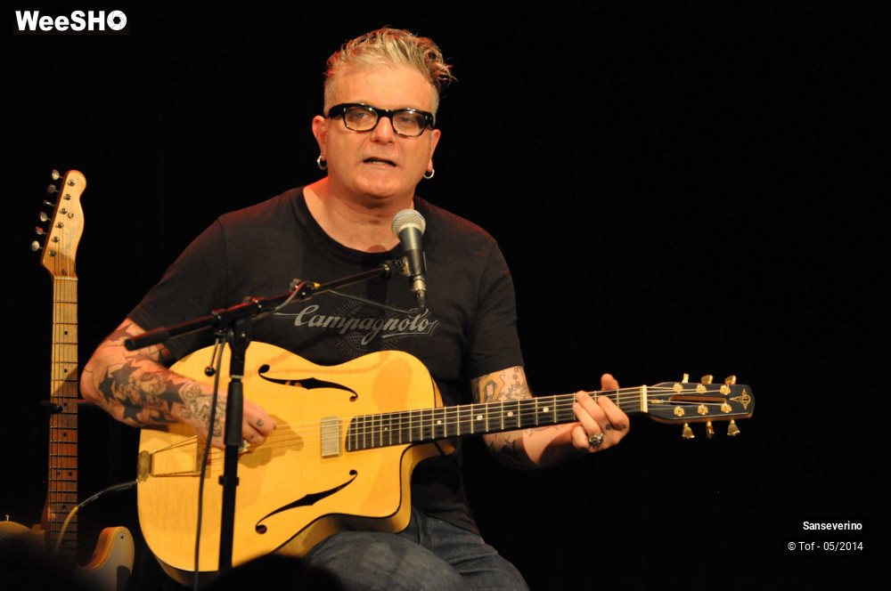 7/47 photos du spectacle Sanseverino