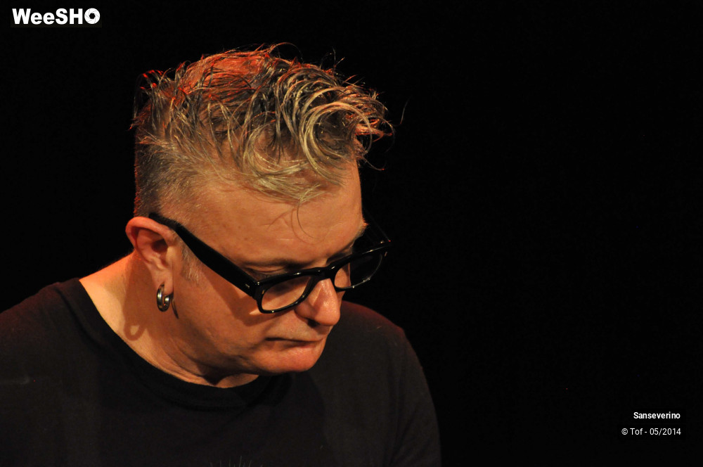 8/47 photos du spectacle Sanseverino