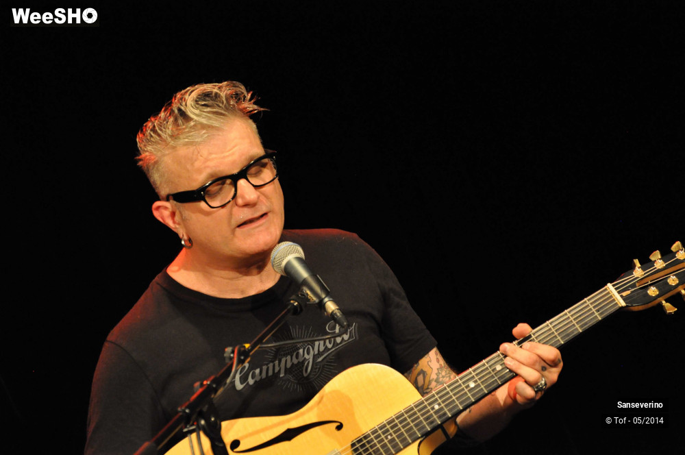 9/47 photos du spectacle Sanseverino