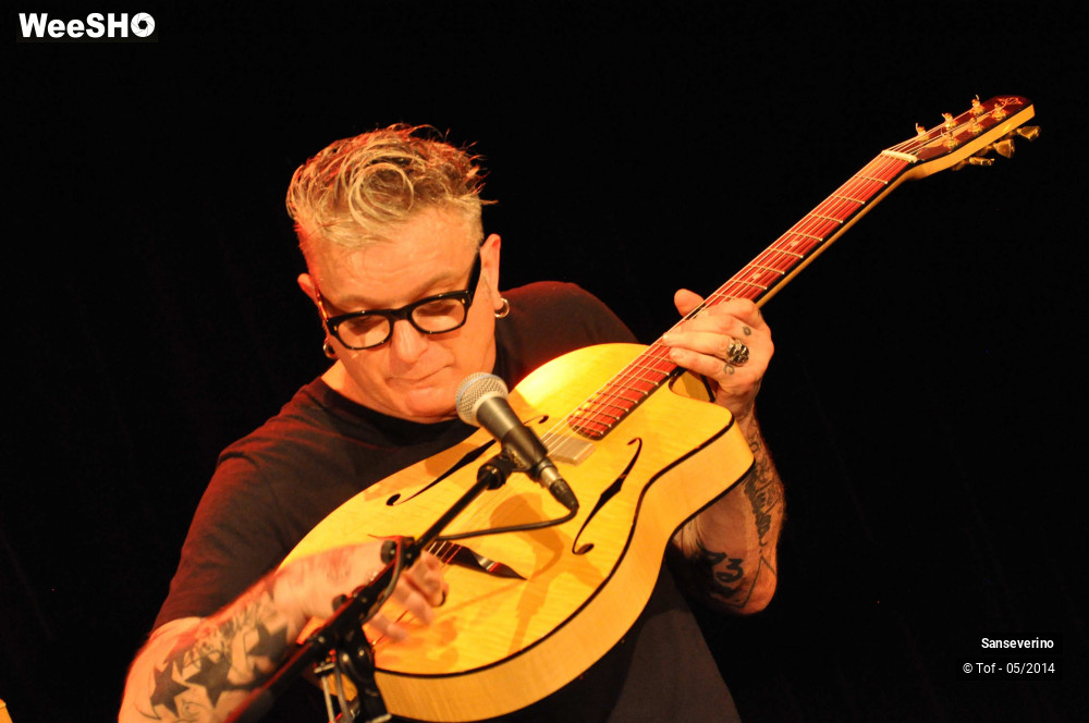 10/47 photos du spectacle Sanseverino