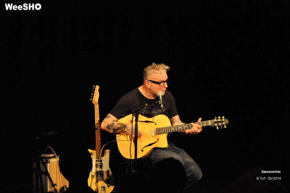 11/47 photos du spectacle Sanseverino