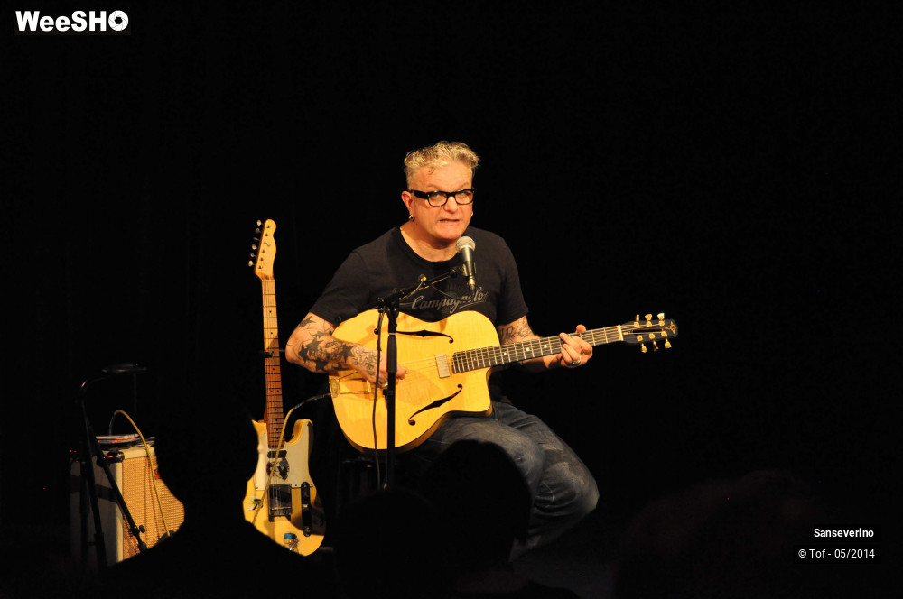 13/47 photos du spectacle Sanseverino