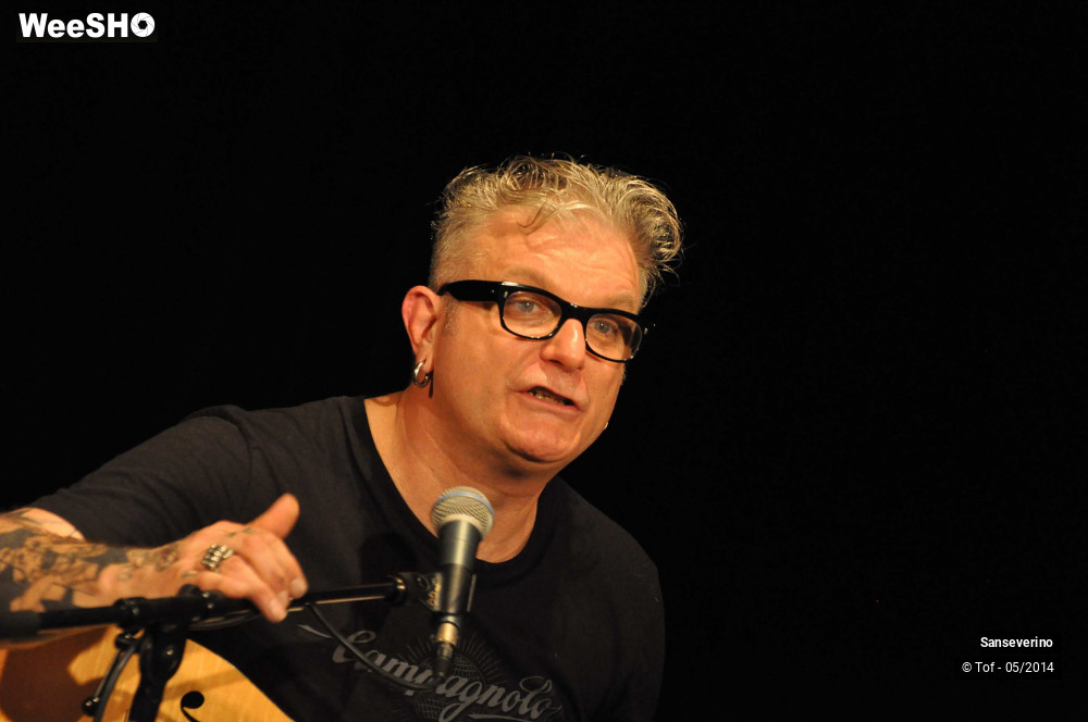 14/47 photos du spectacle Sanseverino