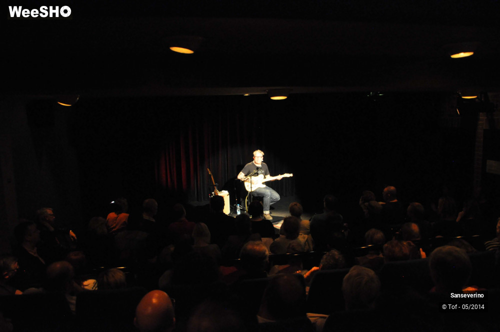 15/47 photos du spectacle Sanseverino