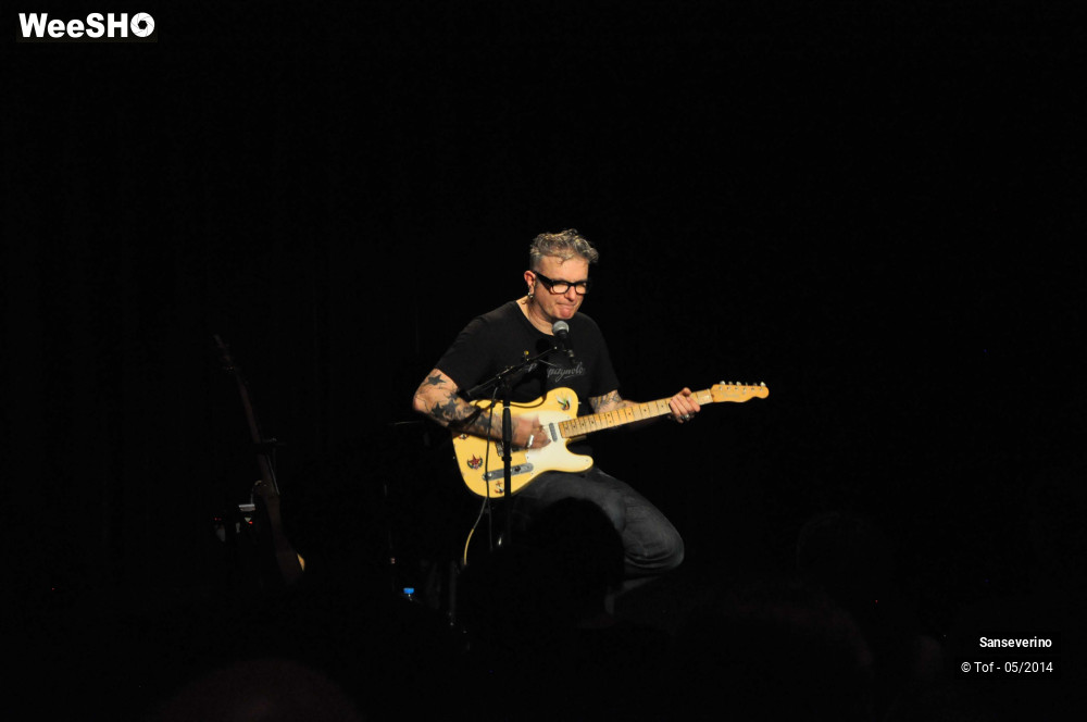 16/47 photos du spectacle Sanseverino