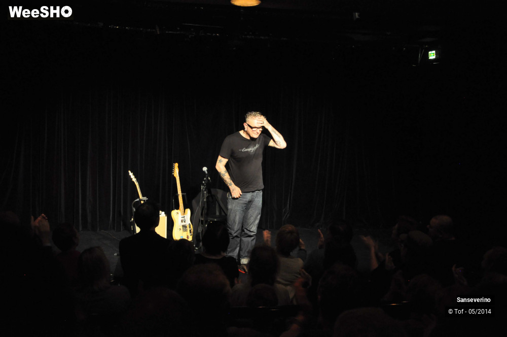 18/47 photos du spectacle Sanseverino