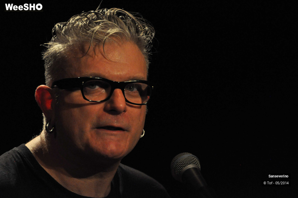 19/47 photos du spectacle Sanseverino