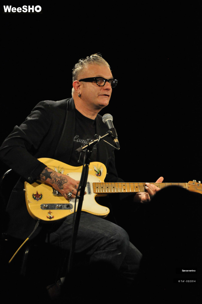 20/47 photos du spectacle Sanseverino