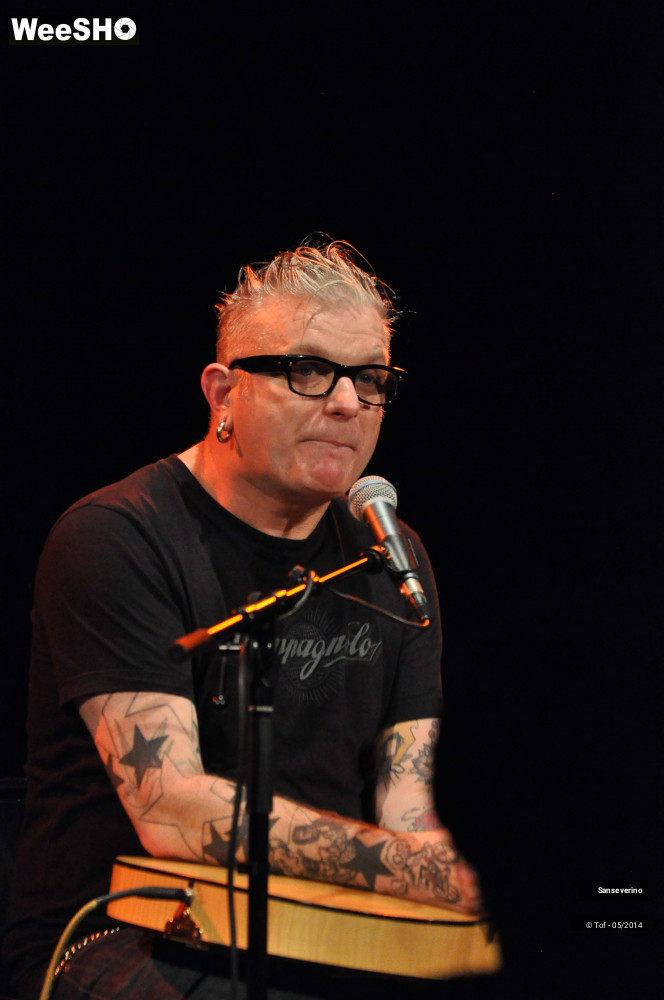 24/47 photos du spectacle Sanseverino