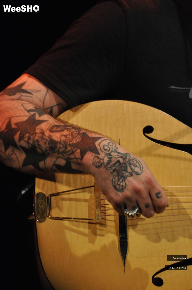 25/47 photos du spectacle Sanseverino