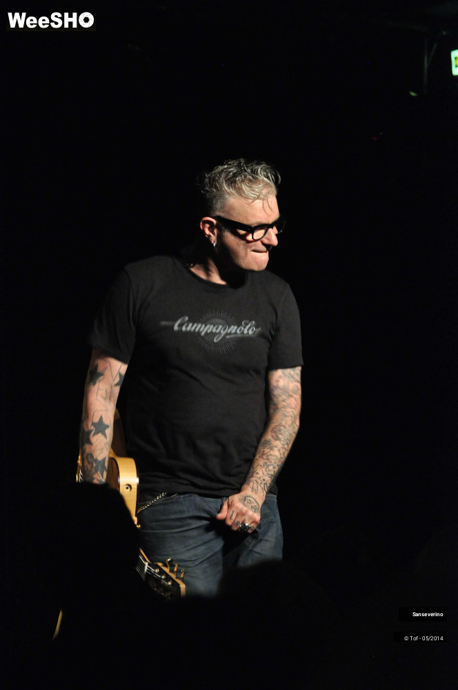 28/47 photos du spectacle Sanseverino