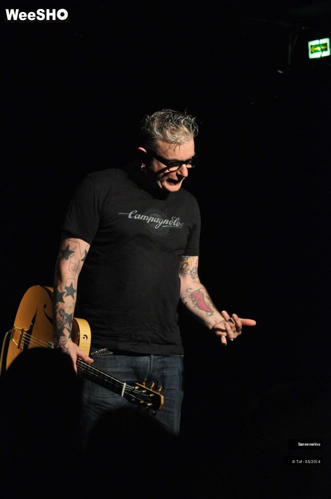 29/47 photos du spectacle Sanseverino