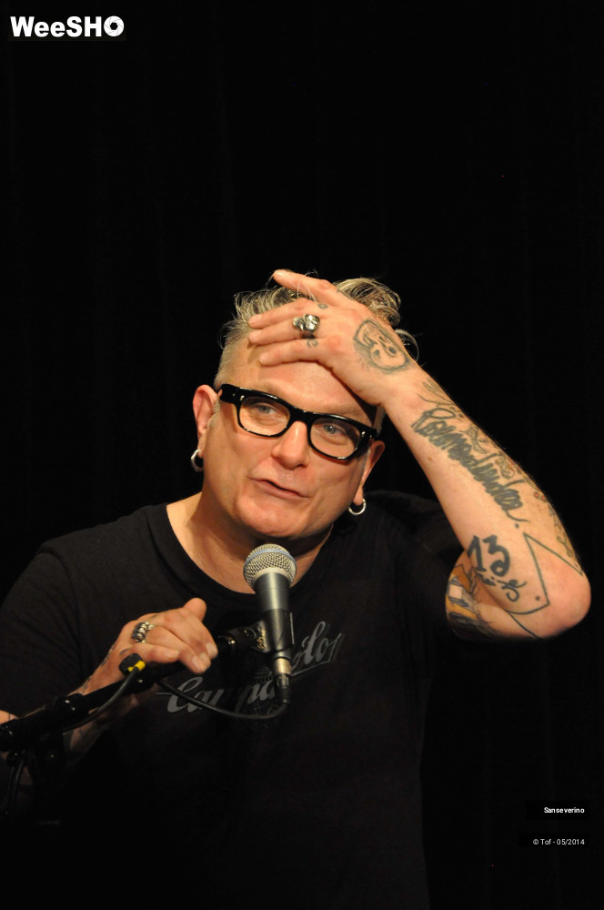 32/47 photos du spectacle Sanseverino