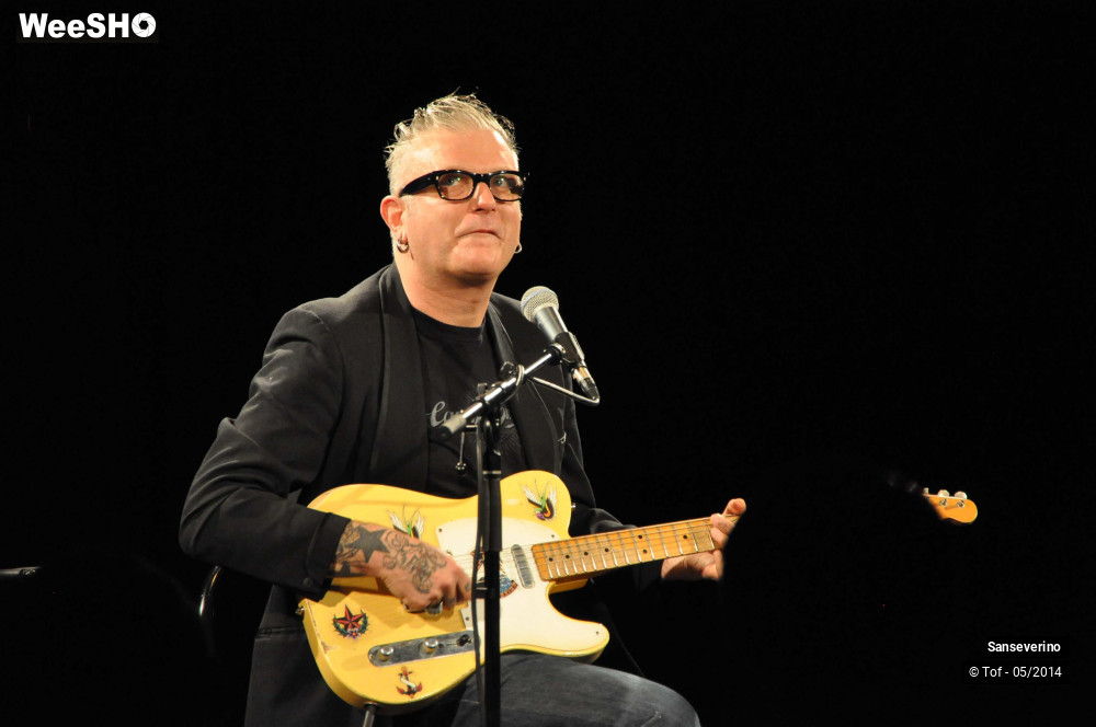 35/47 photos du spectacle Sanseverino