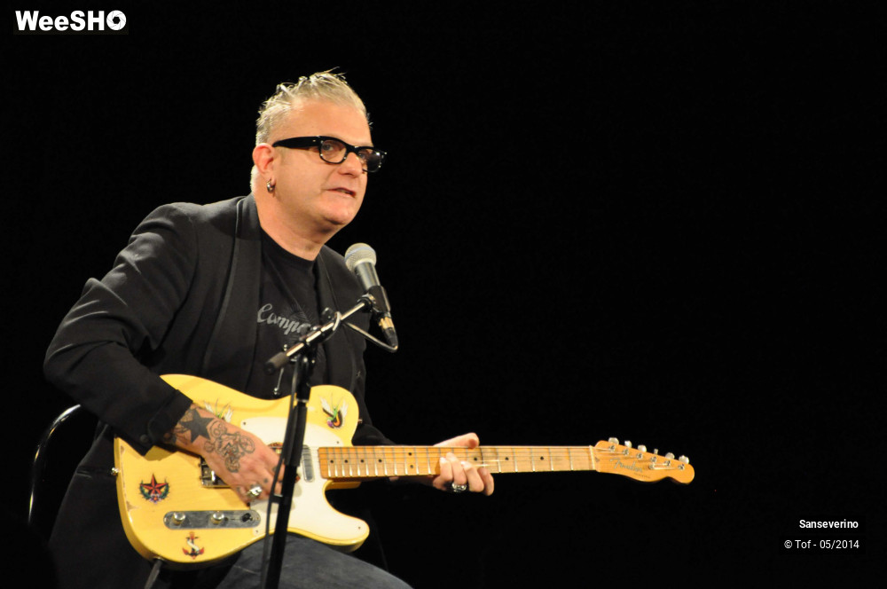 36/47 photos du spectacle Sanseverino