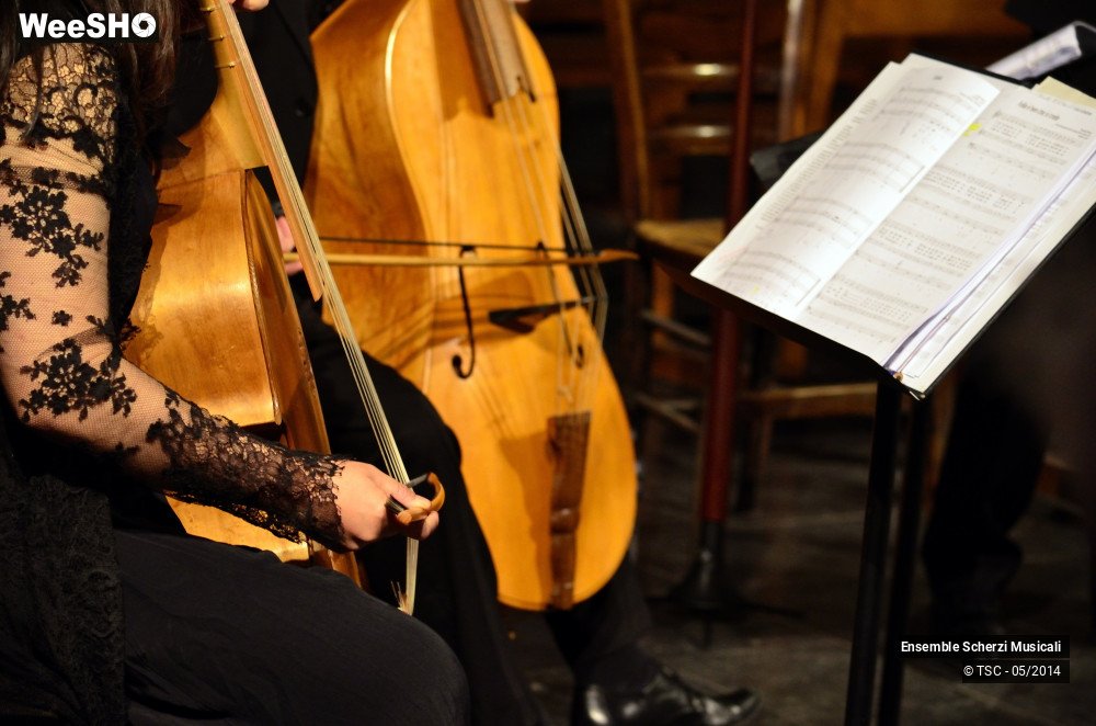 8/20 photos du spectacle Il pianto d'Orfeo