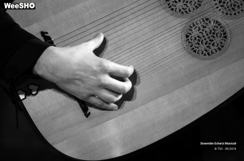 12/20 photos du spectacle Il pianto d'Orfeo