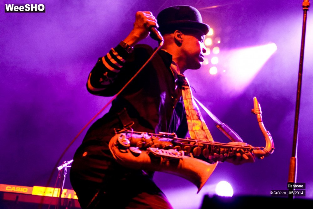 2/50 photos du spectacle Fishbone