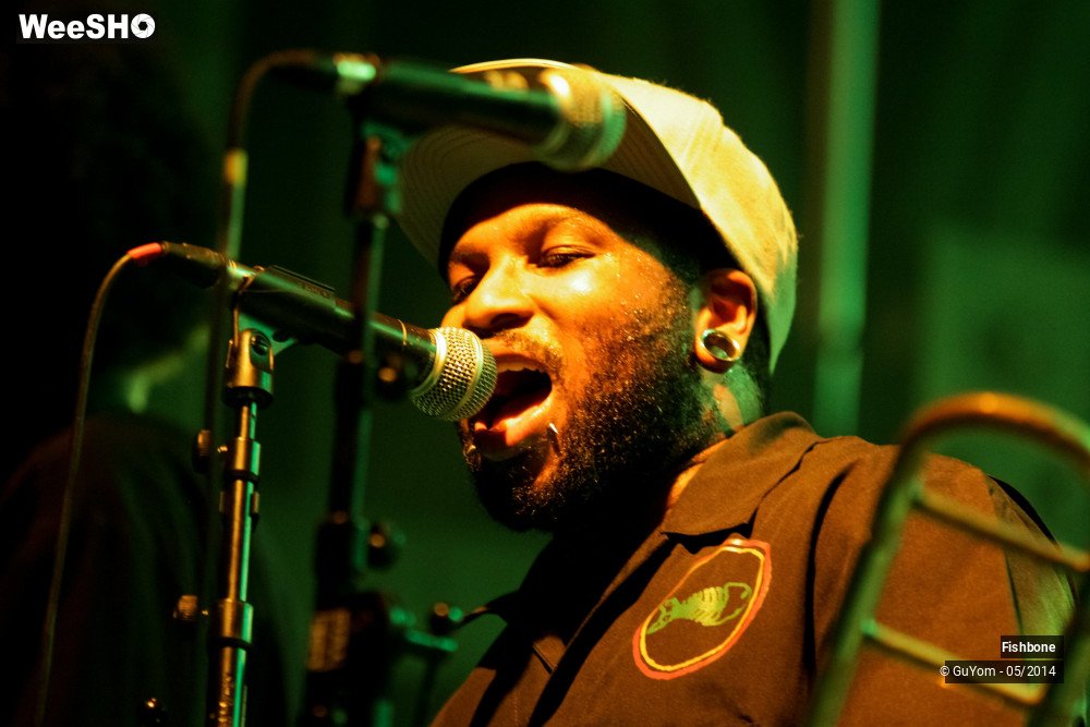 3/50 photos du spectacle Fishbone