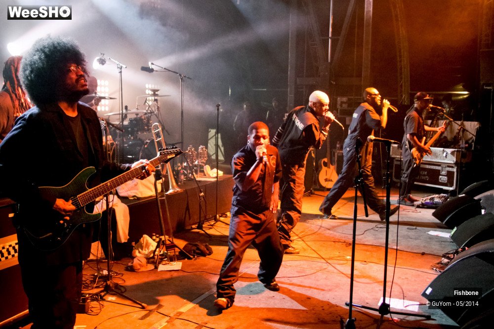 4/50 photos du spectacle Fishbone