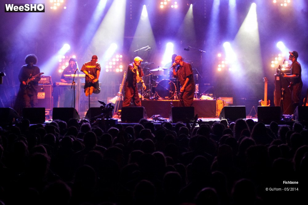 6/50 photos du spectacle Fishbone