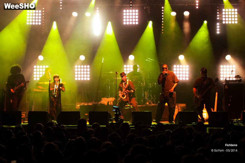 7/50 photos du spectacle Fishbone