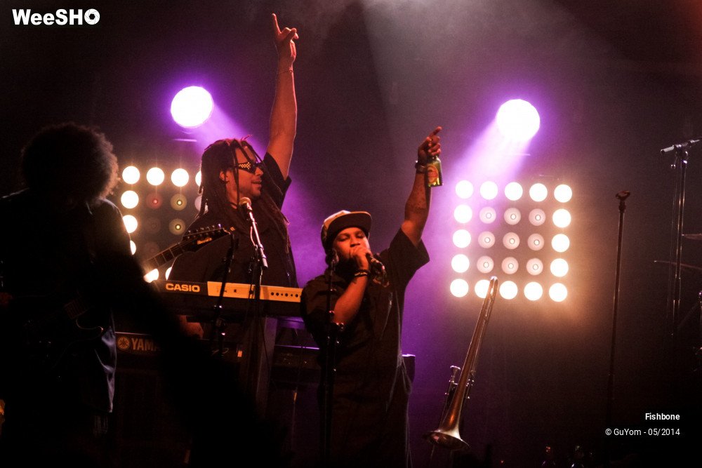 8/50 photos du spectacle Fishbone