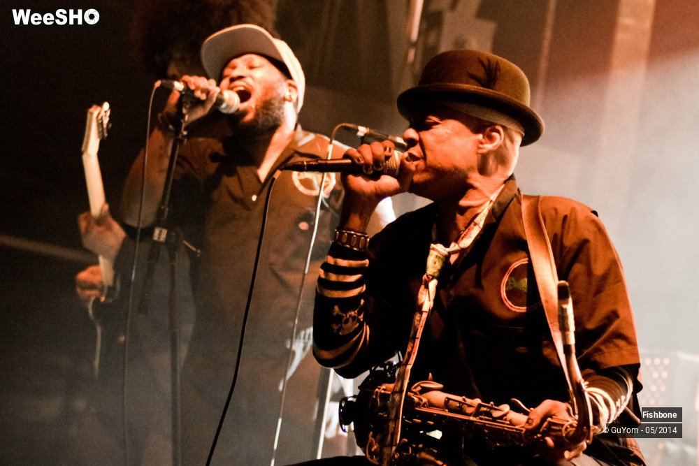 10/50 photos du spectacle Fishbone