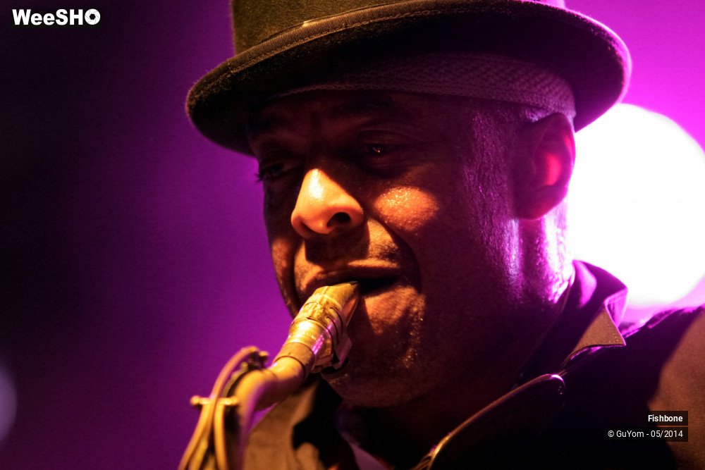 12/50 photos du spectacle Fishbone