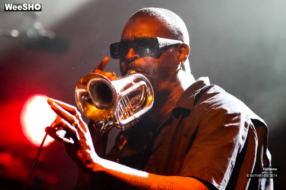 15/50 photos du spectacle Fishbone