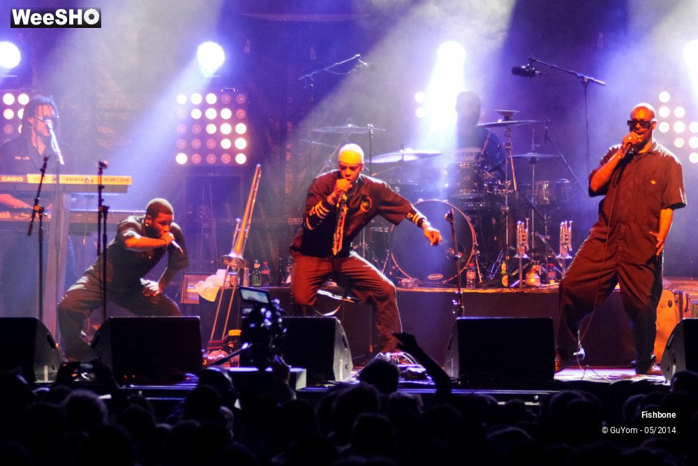 16/50 photos du spectacle Fishbone