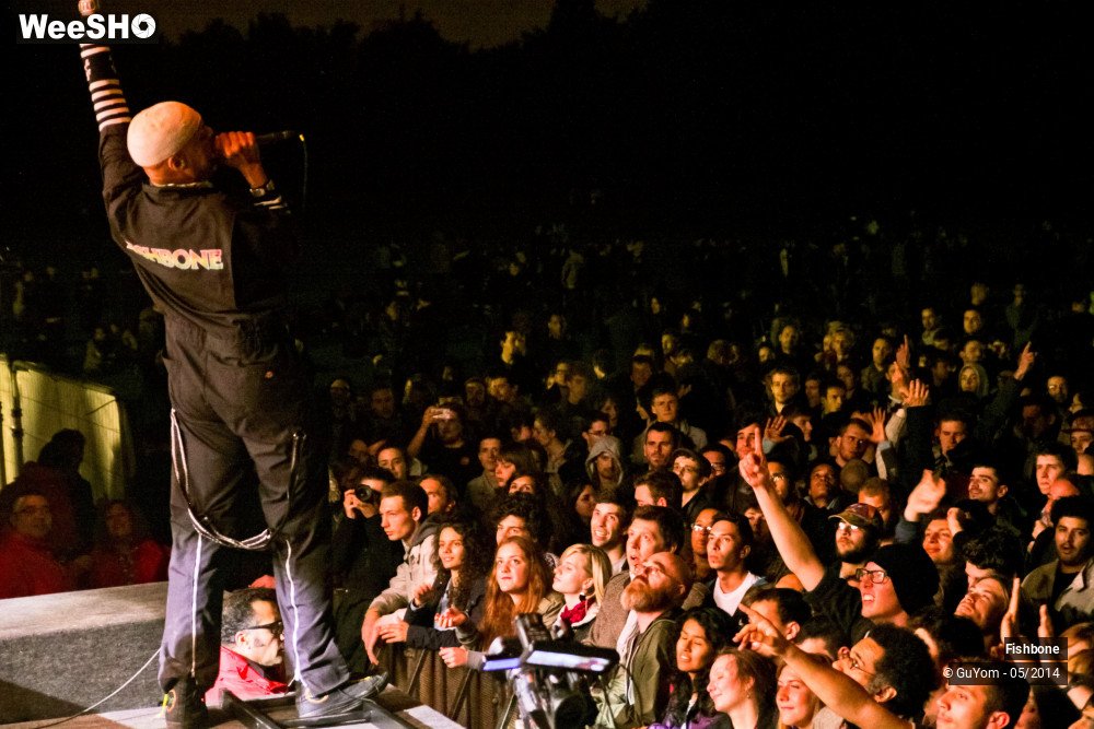 17/50 photos du spectacle Fishbone