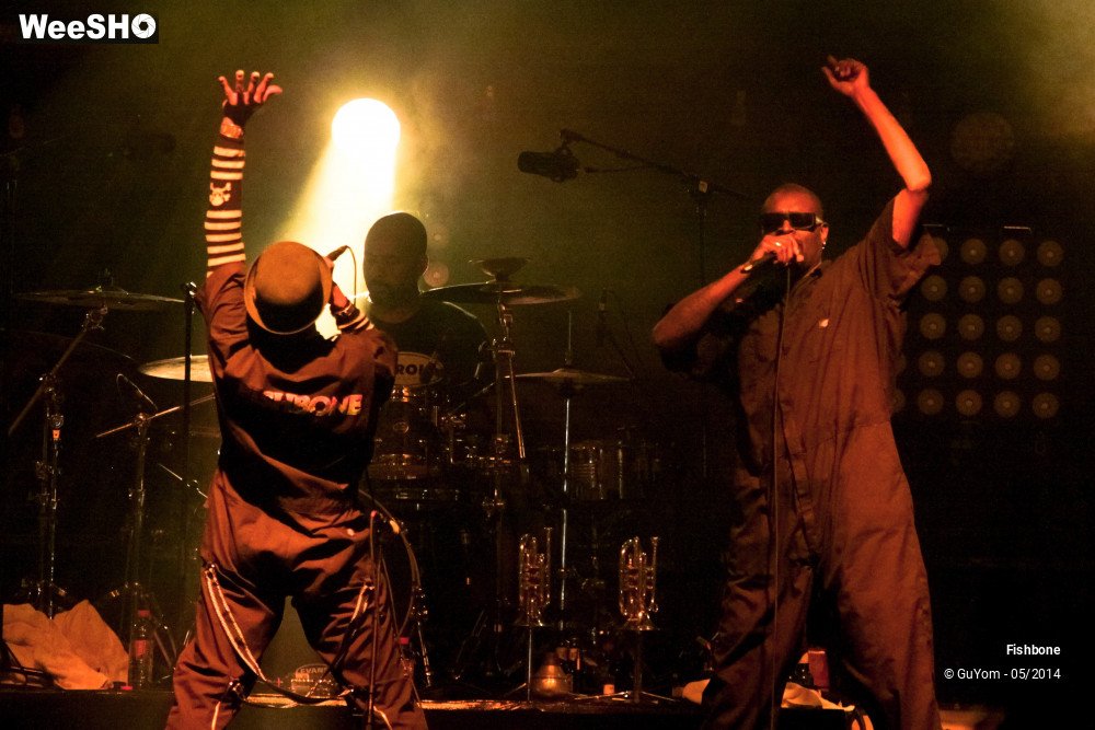 18/50 photos du spectacle Fishbone