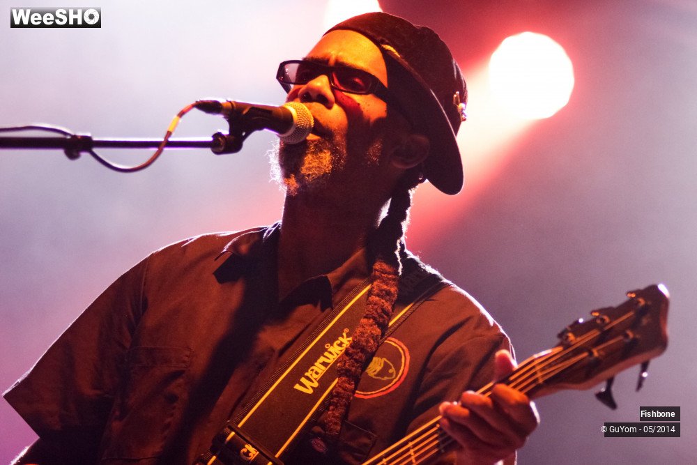 20/50 photos du spectacle Fishbone