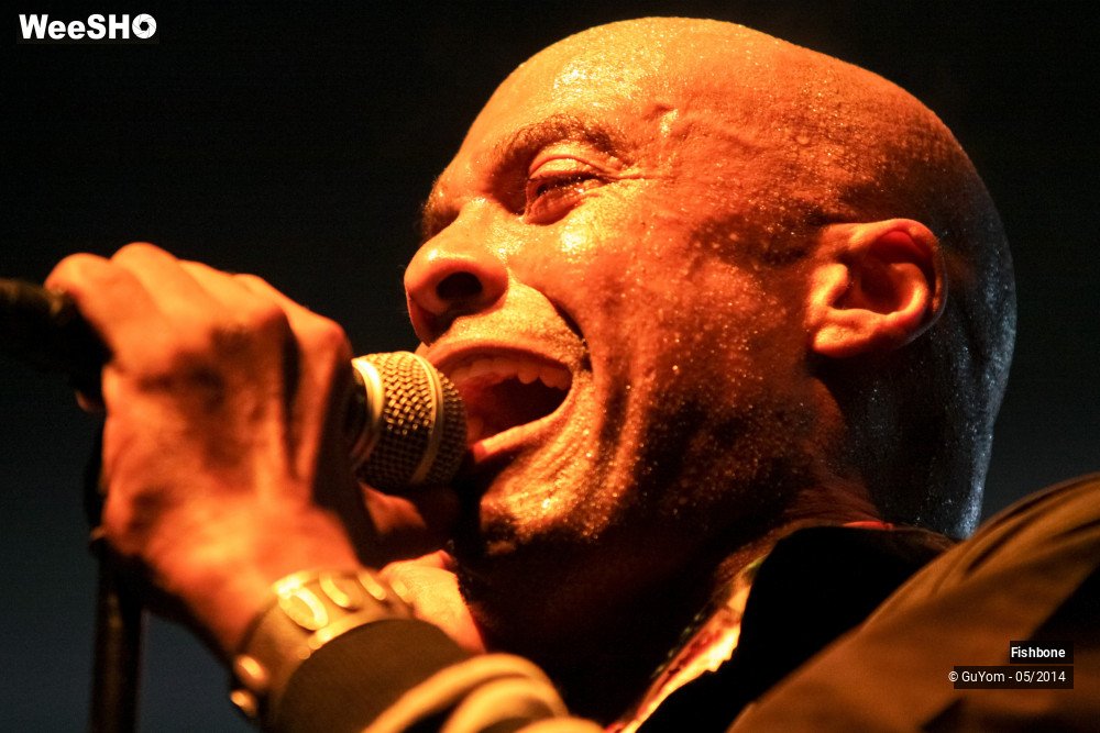 21/50 photos du spectacle Fishbone