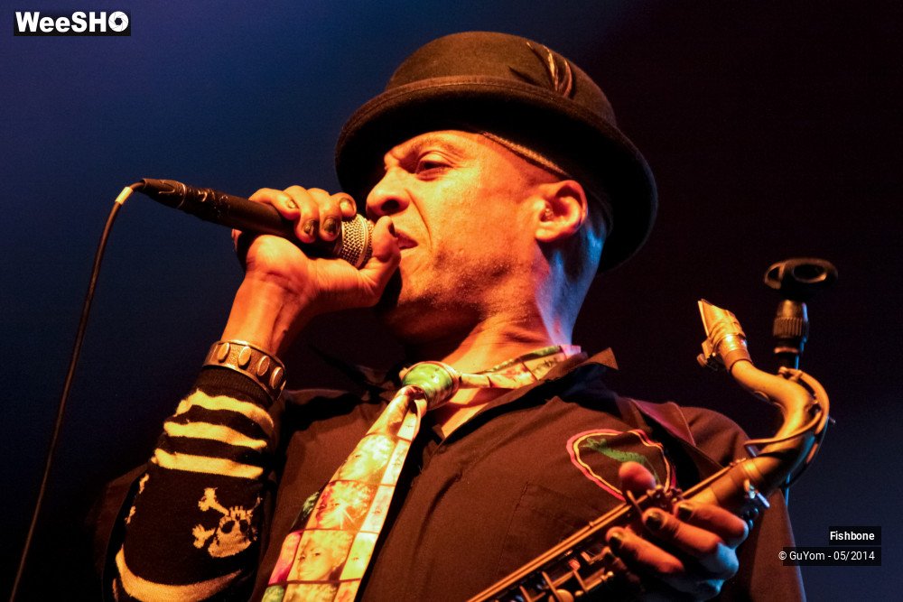 22/50 photos du spectacle Fishbone