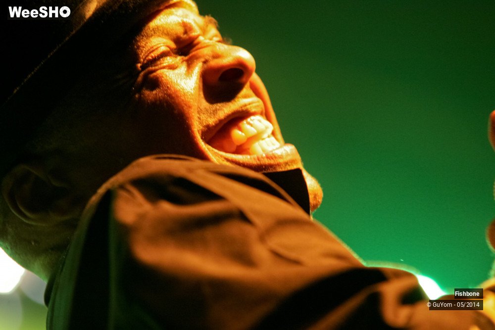 23/50 photos du spectacle Fishbone