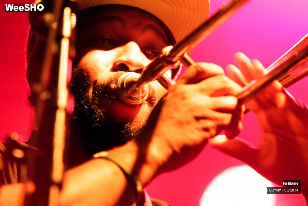 25/50 photos du spectacle Fishbone