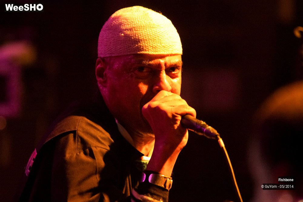 26/50 photos du spectacle Fishbone