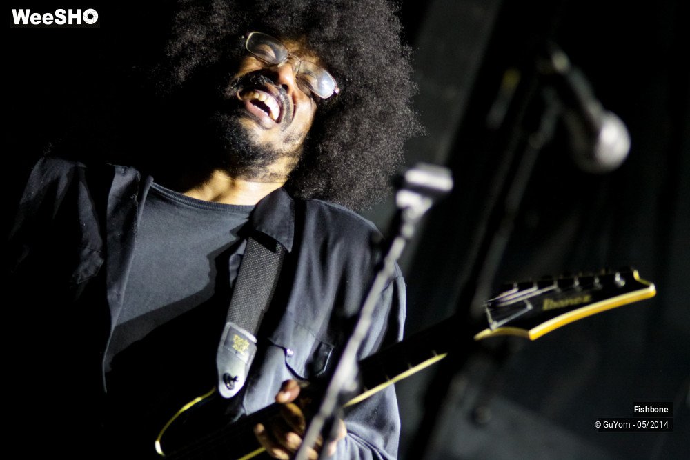 28/50 photos du spectacle Fishbone