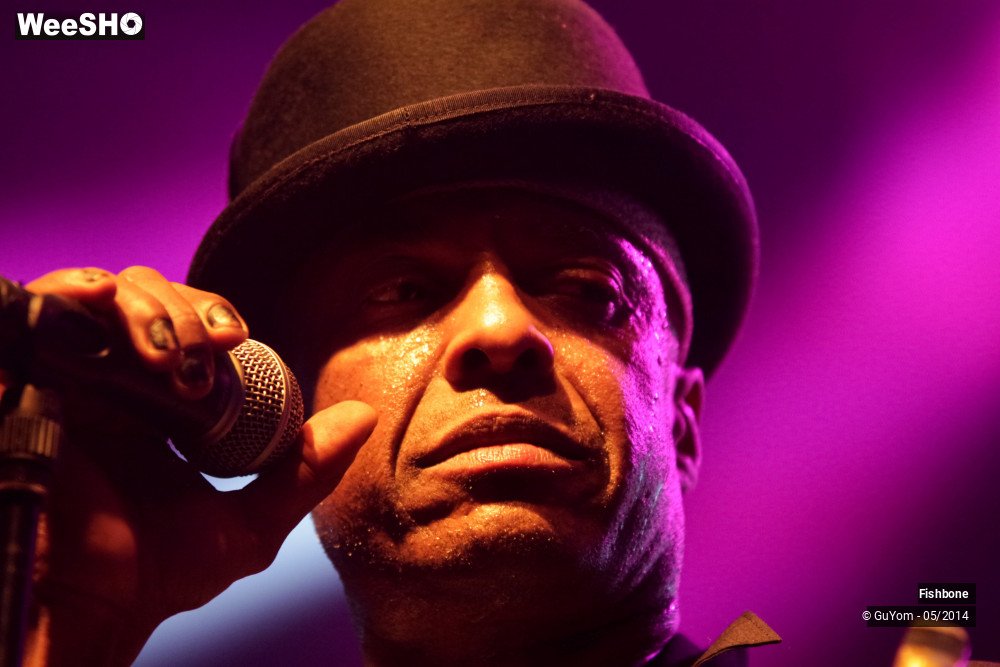 29/50 photos du spectacle Fishbone