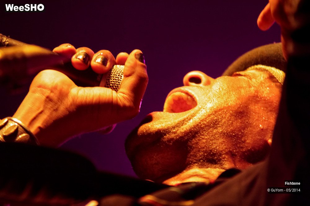 31/50 photos du spectacle Fishbone